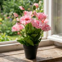 Artikel Künstliche Mohnblume im Topf, Rosa, 48 cm, Dekoration für Innenbereich