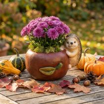 Artikel Pflanzgefäss Keramik Apfel mit Igel Ø16cm H22cm B33cm Herbstdeko Innen und Aussen