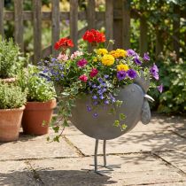 Artikel Blumentopf Huhn aus Metall in Zinkoptik 51×16×37 cm für Innen- und Aussendekoration