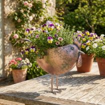 Artikel Blumentopf Huhn aus Metall, 51×16×37cm, Metallic Rosé, für Innen- und Aussendekoration