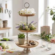 Artikel Etagere aus Mangoholz Natur Ø19/23/28cm H55cm für Tischdekoration