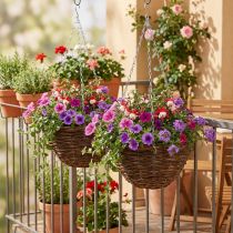 Artikel Hängekorb Braun aus Rattan mit Metallketten Ø31cm 2er-Set