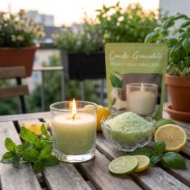 Artikel Wachsgranulat für Duftkerzen, Zitronengras-Duft, mit Dochthalter und Dochten, 400 g, Weiss