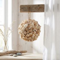 Artikel Maritime Dekokugel aus Seeschnecken Ø18cm, Naturfarben, zum Aufhängen