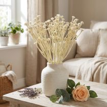 Artikel Künstliches Currykraut in Weiss Beige 28cm 12 Stiele 1 Bund
