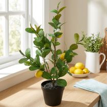 Artikel Künstlicher Zitronenbaum 65 cm im Kunststofftopf für Innenbereich