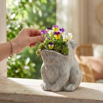 Artikel Beton Pflanztopf Frosch Grau 18,5 cm für Pflanzen