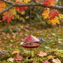Artikel Vogelfutterstelle aus Metall in Fliegenpilz-Optik Ø15,5cm, Rot-Weiss, zum Hängen
