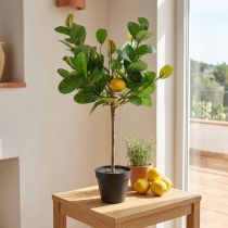 Artikel Künstlicher Zitronenbaum im Topf, Kunststoff, 57 cm Höhe, Grün/Gelb, Dekoration für Innen- und Aussenbereich