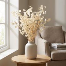 Artikel Lunaria Trockenblumen Silberblatt Natur 90cm 100g für Dekoration