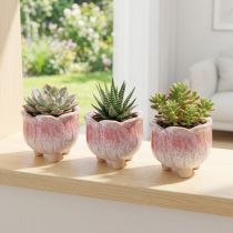 Artikel Mini-Keramik-Blumentöpfe Ø8cm H7cm Blütenform 3er-Set Bunt