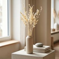 Artikel Trockenblumen Plattährengras Chasmanthium Champagner 70cm 10 Stiele