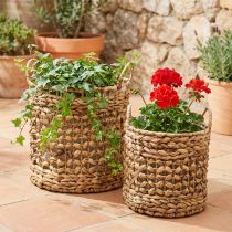 Artikel 2er Set Pflanzkörbe aus Seegras und Wasserhyazinthe Ø31/26 cm mit Griffen – Naturfarben, Innenbereich