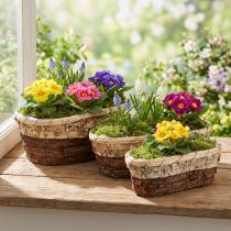 Artikel Pflanzwannen-Set Holz 3-farbig, mit Folie, 3 Grössen (29,5/25/23cm), Naturfarben