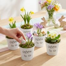 Artikel Weisser Metall-Übertopf "Ostern To Go", Mini Blumentopf, 7cm, 6er Set