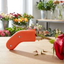 Artikel Rosenentdorner aus rostfreiem Metall mit Kunststoffgriff, 17 cm, orange