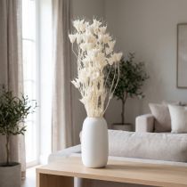 Artikel Trockenblumen Nigella Bund Weiss 70cm 50g für Wohn- und Tischdekoration
