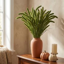 Artikel Trockenblumen Setaria Pumila Borstenhirse Grün ca. 75cm 200g