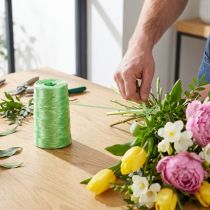 Artikel Bindeband aus Kunstbast Hellgrün 5 mm x 800 m für Floristik und Dekoration