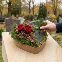 Artikel OASIS® Renewal® Biolit® Steckschaumherzen 26 × 24 × 5 cm, 2 Stück