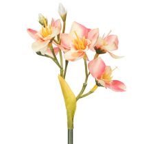 Artikel Dekozweige Inkalilie Kunstblumen Rosa 33cm 6er-Set