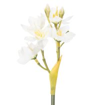Artikel Künstlicher Narzissenzweig aus Polyester und Kunststoff weiss-gelb 33 cm 6 Stück