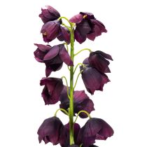 Artikel Fritilaria künstliche Nachbildung 78 cm in Lila aus Polyester und Kunststoff für Dekoration