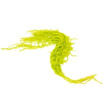 Artikel Fuchsschwanz Trockenblumen 100cm, gefärbt, Hellgrün, 5 Stiele für Wohnraumdekoration