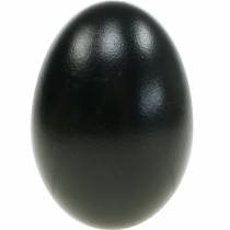 Artikel Ausgeblasene Gänseeier Schwarz, Dekoeier, ca. 8–9 cm, 10 Stück