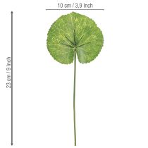 Artikel 12 künstliche Galax-Urceolata-Blätter Dunkelgrün Ø10 cm L23 cm
