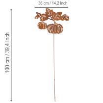 Artikel Gartenstecker Metall Kürbis Rostoptik 100cm für Herbstdekoration