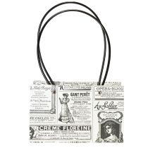 Artikel Geschenktüten Geschenktasche Papier 13,5×22cm 10St