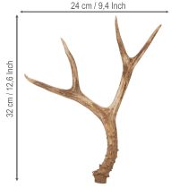 Artikel Künstliches Geweih aus Polyresin in natürlicher Optik 32cm