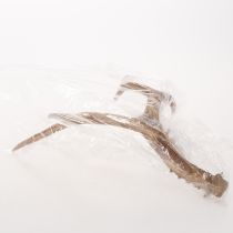 Artikel Künstliches Geweih aus Polyresin in natürlicher Optik 32cm