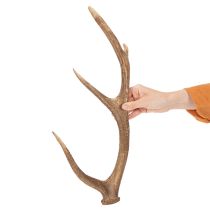 Artikel Deko-Geweih künstlich Polyresin braun 50cm