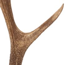 Artikel Deko-Geweih künstlich Polyresin braun 50cm