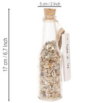 Artikel Glasflaschen-Set mit Muscheln und Anhänger, 17 cm, 2 Stück, maritime Tischdekoration