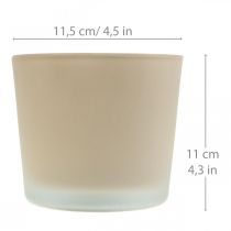 Artikel Glas Blumentopf Beige Übertopf Glaskübel Ø11,5cm H11cm