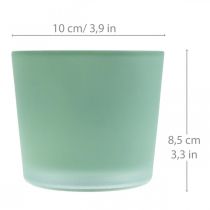 Glas Blumentopf Grün Übertopf Glaskübel Ø10cm H8,5cm