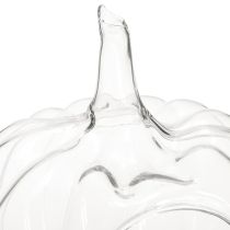 Artikel Glaskürbis mit Öffnung Herbstdeko Kürbis Klar Ø21cm H20cm