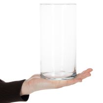 Artikel Glaszylinder Vase 20 cm hoch Transparent für Blumen und Dekoration