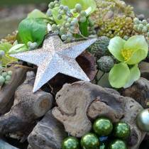 Artikel Glitterstern Champagner 9,5/5cm 18 St