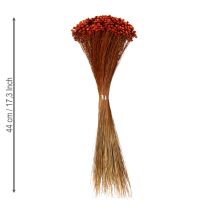 Artikel Trockenblumenstrauß charmante Beigabe für Vasen oder Gestecke 44cm