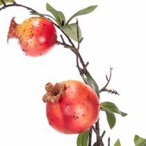 Artikel ProductNameKünstlicher Granatapfelzweig 68 cm, roter Fruchtzweig für die Tischdekoration/ProductName
ProductDescription<h2>Künstlicher Granatapfelzweig für Tisch- und Wohndekoration</h2>
<p>Der künstliche Granatapfelzweig ist ein 68 cm langer Fruchtzweig