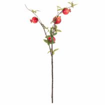 Artikel ProductNameKünstlicher Granatapfelzweig 68 cm, roter Fruchtzweig für die Tischdekoration/ProductName
ProductDescription<h2>Künstlicher Granatapfelzweig für Tisch- und Wohndekoration</h2>
<p>Der künstliche Granatapfelzweig ist ein 68 cm langer Fruchtzweig