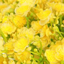 Artikel Gypsophila Rispiges Gipskraut Gelbe Blüten L46cm 4 St