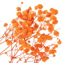Artikel Schleierkraut Trockenblumenstrauss Gypsophila Orange 75cm 100g