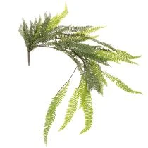 Artikel Farn künstlich, Dekorativer Farnzweig, Kunststoff, 118 cm, Grün, Innen- und geschützter Aussenbereich