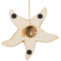 Artikel Seestern Anhänger aus Keramik 12 cm Beige und Braun 2 Stück