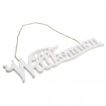 Artikel Willkommensschild aus Holz zum Aufhängen im Vintage Look für Türdeko